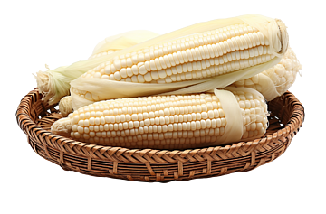  foire
                                        jinukun